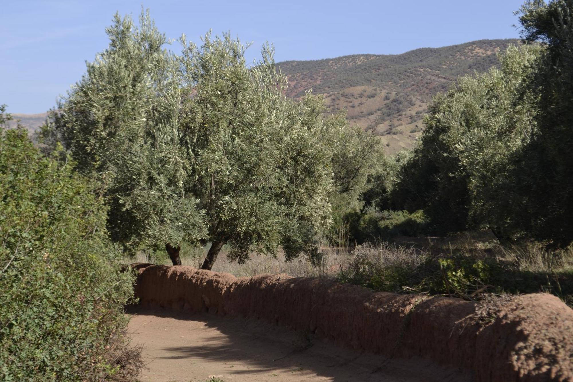 Villa Quince ウリガン エクステリア 写真